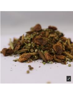 Bird Food Insectivor 1 kg – Ingrédient bouillettes carpe | NRGi Baits