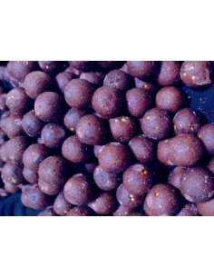 bouillette mulberry florentine