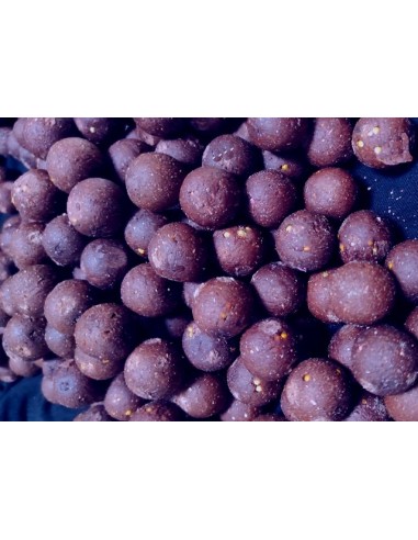 bouillette mulberry florentine