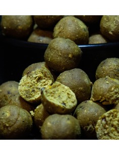 Boilies GLM Strawberry stabilisées | Toutes saisons & situations pêche 2